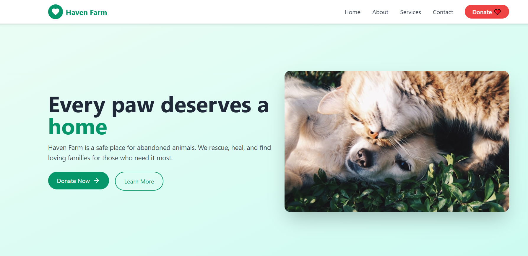 Haven Farm Animal Shelter