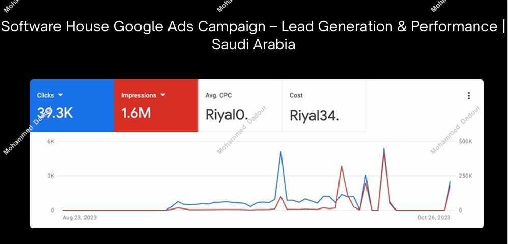 Software House Google Ads Campaign